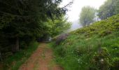 Trail Walking Le Bosc - Le Cap du Carmil depuis le Col des Marrous - Photo 1