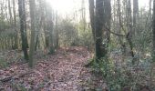 Trail Walking Montigny-le-Tilleul - Gozée 8-01 - 19  - Photo 1