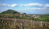 Excursión Caballo Miéry - De Saint Lothain à Commenailles - Photo 1