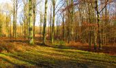 Tocht Stappen Montgobert - en forêt de Retz_75_promenade familiale tout temps - Photo 9