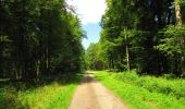 Excursión Senderismo Montgobert - en forêt de Retz_75_promenade familiale tout temps - Photo 15