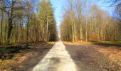 Trail Walking Montgobert - en forêt de Retz_75_promenade familiale tout temps - Photo 19