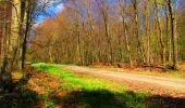 Trail Walking Montgobert - en forêt de Retz_75_promenade familiale tout temps - Photo 16