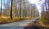 Trail Walking Montgobert - en forêt de Retz_75_promenade familiale tout temps - Photo 12