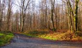 Trail Walking Montgobert - en forêt de Retz_75_promenade familiale tout temps - Photo 8