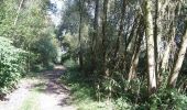 Trail Walking Wandignies-Hamage - Circuit du grand vivier (Wandignies-Hamage)  - Photo 5