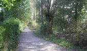 Trail Walking Wandignies-Hamage - Circuit du Prieuré  (Wandignies-Hamage) - Photo 6