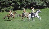 Excursión Caballo Prémanon - Haut Jura - Prémanon - Château des Près - Photo 1