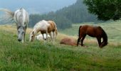 Excursión Bici de montaña Grande-Rivière-Château - Haut Jura - Château des Près - St Maurice VIA Etival - Photo 1