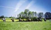 Trail Equestrian Lajoux - Haut Jura - Lajoux - Prémanon - Photo 1