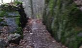 Trail Walking Profondeville - PROFONDEVILLE (Arboretum) - Photo 1