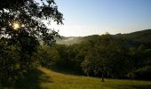 Excursión Senderismo Durfort-Lacapelette - St Martin - Bouillan - Chemin de Compostelle - Photo 5