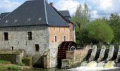 Excursión Bicicleta Felleries - Moulin des vallées de l'Helpe Majeure et de la Solre (46km) - Photo 1