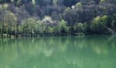 Tocht Stappen Kirchberg - Le Lac de Lachtelweiher et la source de la Doller - Photo 1