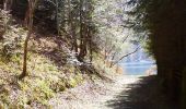 Trail Walking Murbach - Le Grand Ballon par Murbach - Photo 1