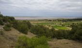 Tocht Stappen Gruissan - Le Belvédère de Gruissan - Photo 5