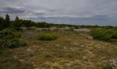 Tour Wandern Gruissan - Le Belvédère de Gruissan - Photo 4