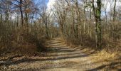 Trail Walking Pibrac - Un tour en forêt de Bouconne - Photo 5