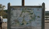 Tour Wandern Peyriac-de-Mer - Peyriac de Mer - Photo 1