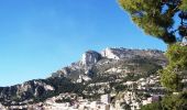 Percorso Marcia Peglione - Via Alpina - R161: Peillon > Monaco - Place du Palais - Photo 1