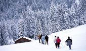 Randonnée Raquettes à neige Morzine - De l'Erigné à Chardonnières en raquettes - Photo 1