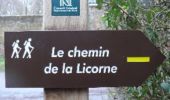 Tocht Stappen Gommegnies - Le chemin de la Licorne (Gommegnies) - Photo 5