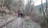Tour Wandern Rimbach bei Gebweiler - 19.01.16.Rimbach.Glashutte - Photo 2