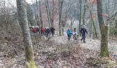 Tour Wandern Rimbach bei Gebweiler - 19.01.16.Rimbach.Glashutte - Photo 3