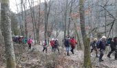 Tour Wandern Rimbach bei Gebweiler - 19.01.16.Rimbach.Glashutte - Photo 4