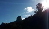Trail Walking Simiane-Collongue - De Simiane-Collongue au Pilon du Roi - Photo 15