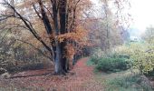 Trail Walking Profondeville - PR 16 - Le Bois de Nîmes - Photo 1