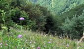 Tour Wandern Saint-Maurice-sur-Moselle - Le Ballon d'Alsace (St-Maurice sur Moselle) - Photo 6