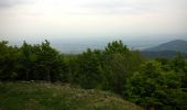 Excursión Senderismo Saint-Maurice-sur-Moselle - Le Ballon d'Alsace (St-Maurice sur Moselle) - Photo 2