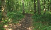 Trail Walking Ors - Sentier de Bois l'évêque  (Ors)   - Photo 2