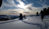 Tour Schneeschuhwandern Woll - 19-01-2019 Col de grosse Pierre - Photo 2