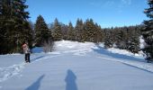 Randonnée Raquettes à neige La Bresse - 19-01-2019 Col de grosse Pierre - Photo 1