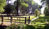 Tocht Stappen Rang-du-Fliers - Sentier du petit marais - Rang du Fliers - Photo 1