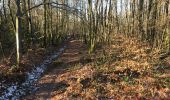 Trail Walking Bogny-sur-Meuse - Les petites HAZELLES  - Photo 3