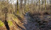 Trail Walking Viroinval - Le Mesnil Deluve- La Folie - Photo 2