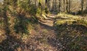 Trail Walking Viroinval - Le Mesnil Deluve- La Folie - Photo 7