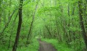 Percorso Marcia Saint-Josse - Sentier des Briqueteries - Saint Josse - Photo 4