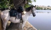 Trail Walking Bonnay - Tour équestre du Haut Charolais - Saint-Ythaire - Suin - Photo 1