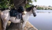 Trail Equestrian Bonnay - Tour équestre du Haut Charolais - Saint-Ythaire - Suin - Photo 1