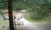 Trail Walking Merlimont - Le sentier de la forêt - Merlimont - Photo 4