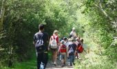 Trail Walking Étaples - Le sentier du Rombly - Etaples - Photo 4