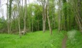 Trail Walking Longvilliers - Le bois de Longvilliers - Photo 1