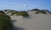 Percorso Marcia Cucq - Le sentier des dunes - Cucq - Photo 4