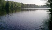 Tour Wandern Signy-le-Petit - Les Etangs et Rivières de Signy-le-Petit - Photo 3