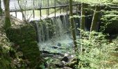 Tour Wandern Signy-le-Petit - Les Etangs et Rivières de Signy-le-Petit - Photo 2