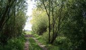 Trail Walking Merris - Circuit du Mont de Merris - Photo 2